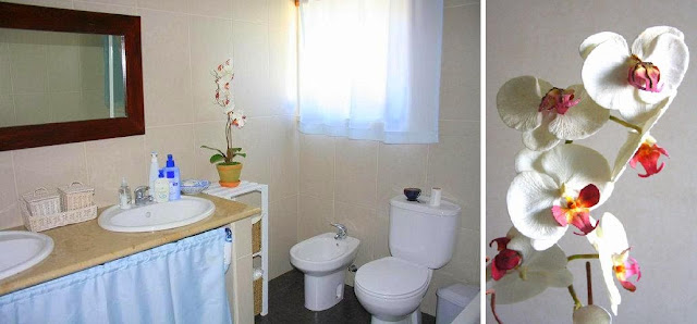 wc da suite