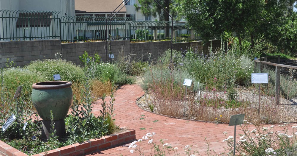 Mother Natures Backyard A Waterwise Garden Harvesting Rain Mother Natures Backyard A Waterwise Garden Harvesting Rain
