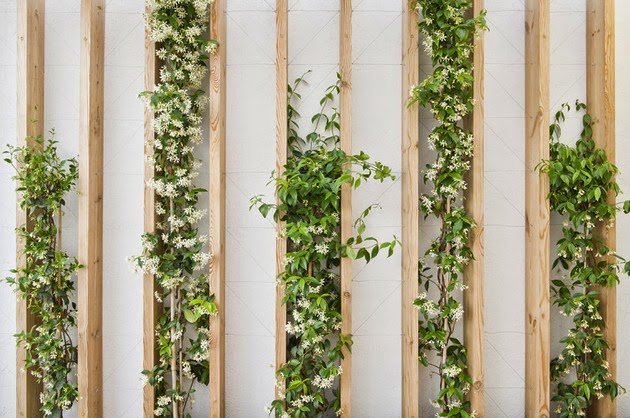 Inspirasi Desain Indoor Apartemen Minimalis Inspirasi Desain Indoor Apartemen Minimalis