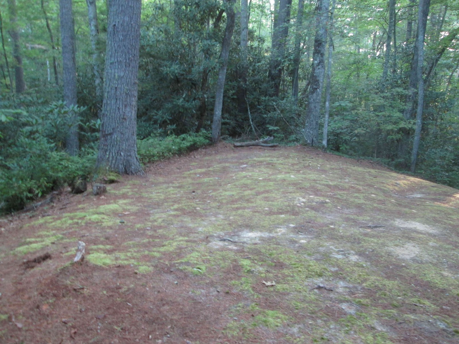 Smoky Mountain Cemetery Creeping Palmer Cemetery