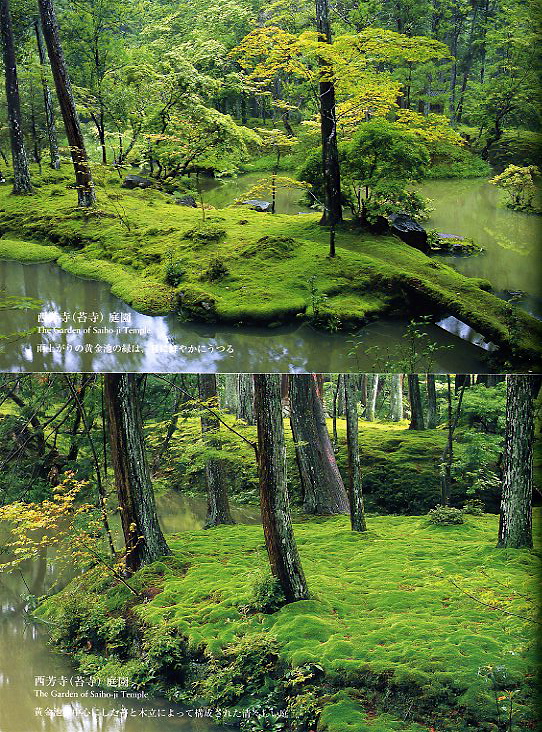 seattle urban landscape bloedel reserve the moss garden seattle urban landscape bloedel reserve the moss garden