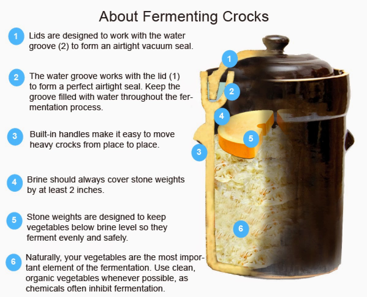 Cooking with Amy A Food Blog Pacific Merchants Fermentation Crock