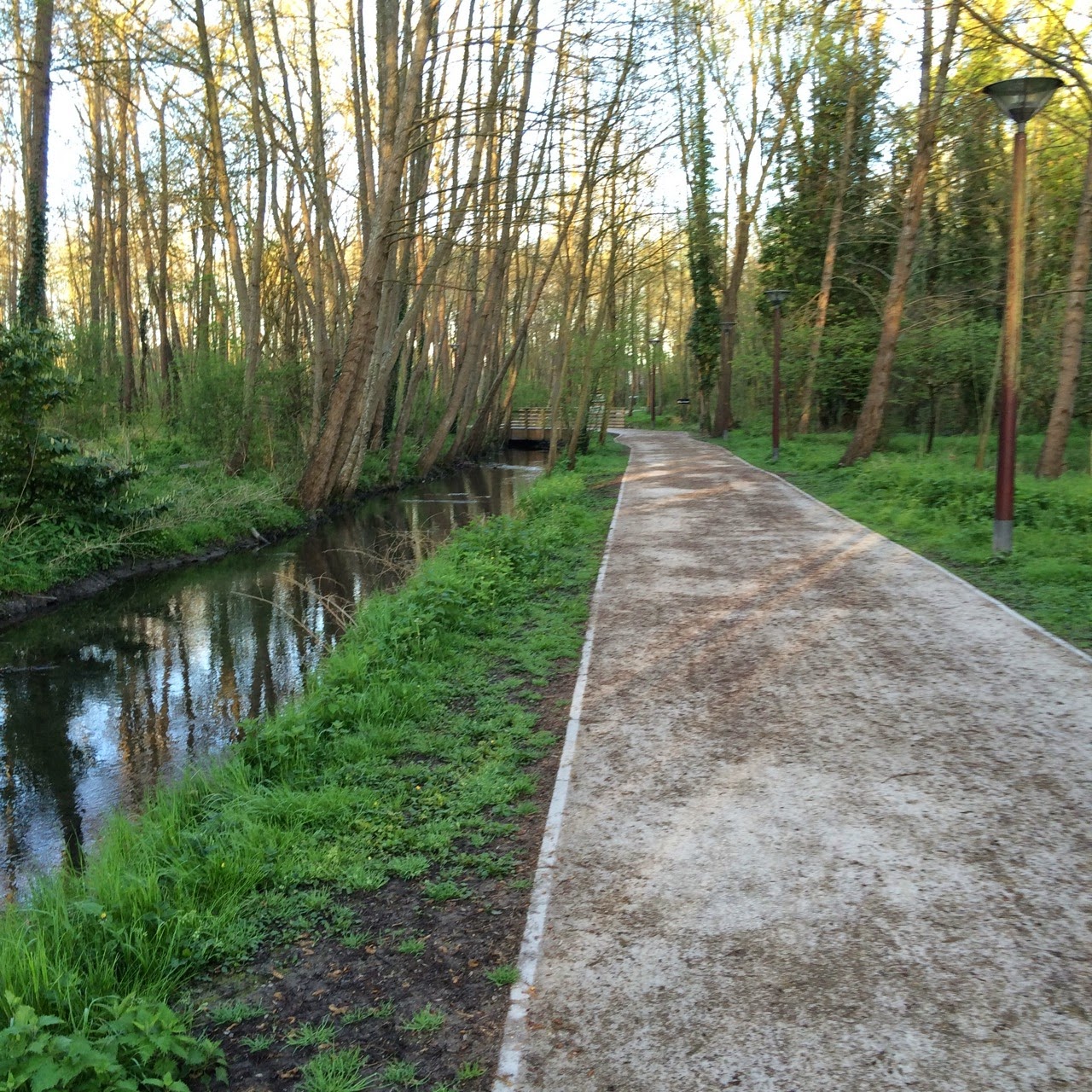 Jan op weg naar compostela: dag 19: troyes forêt chenu (27,3km ...