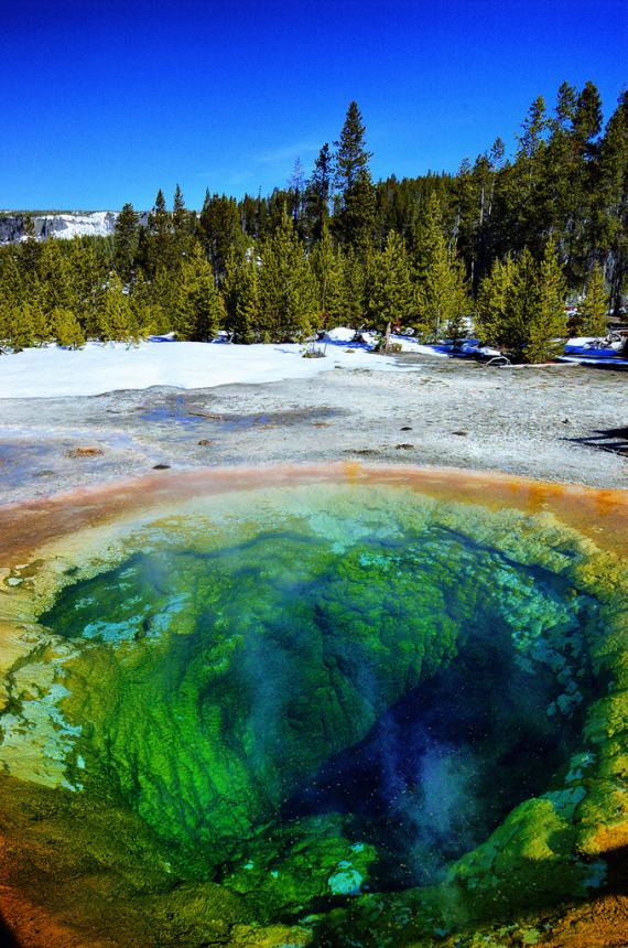 Nuestro Bello Yellowstone Park Morning Glory Pool