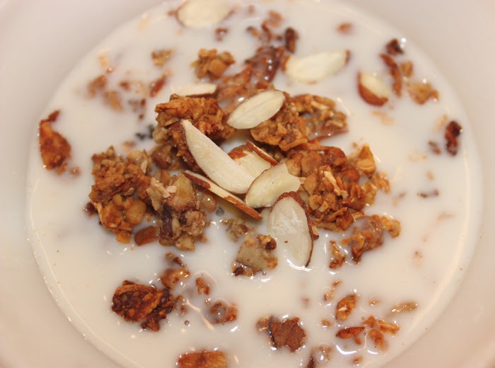 The Primal Pantry Nut Clusters Cereal