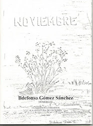 NOVIEMBRE (2004)