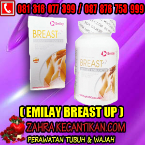 EMILAY+BREAST+UP.jpg