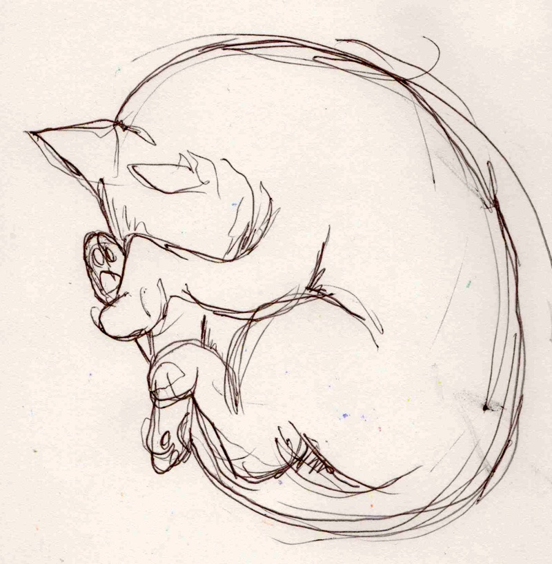 Cat Paw Sketches
