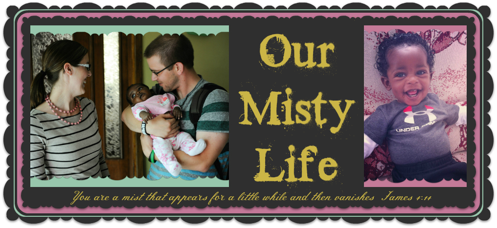 Our Misty Life
