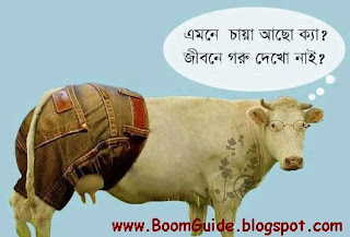 actor bangladeshi cartoon news guides 25 bengali funny photos pictures wallpapers actor bangladeshi cartoon news guides 25 bengali funny photos pictures wallpapers