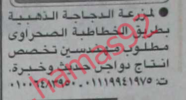 جريدة اخبار اليوم وظائف السبت 1\12\2012 - وظائف الهيئة العامة لسكك حديد مصر %D8%A7%D9%84%D8%A7%D8%AE%D8%A8%D8%A7%D8%B1+1