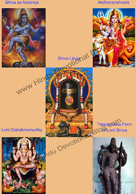 Picture of 5 Important Forms and  Depictions of Lord Shiva