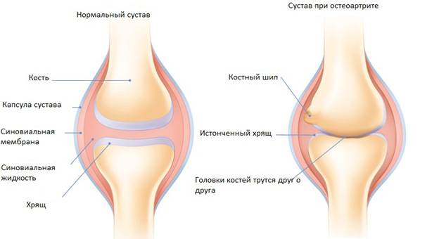 Оберег от пропуска тренировок Оберег от пропуска тренировок