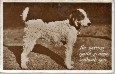 Funny dog postcard