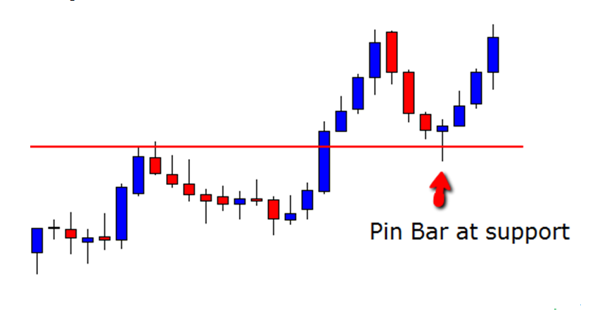 Forex learning bangla blog