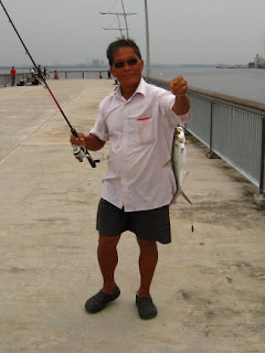 Tarpon or Hai Leng 大眼海鲢 Caught by Ah Ling At Woodland Jetty on 7th April 2013.