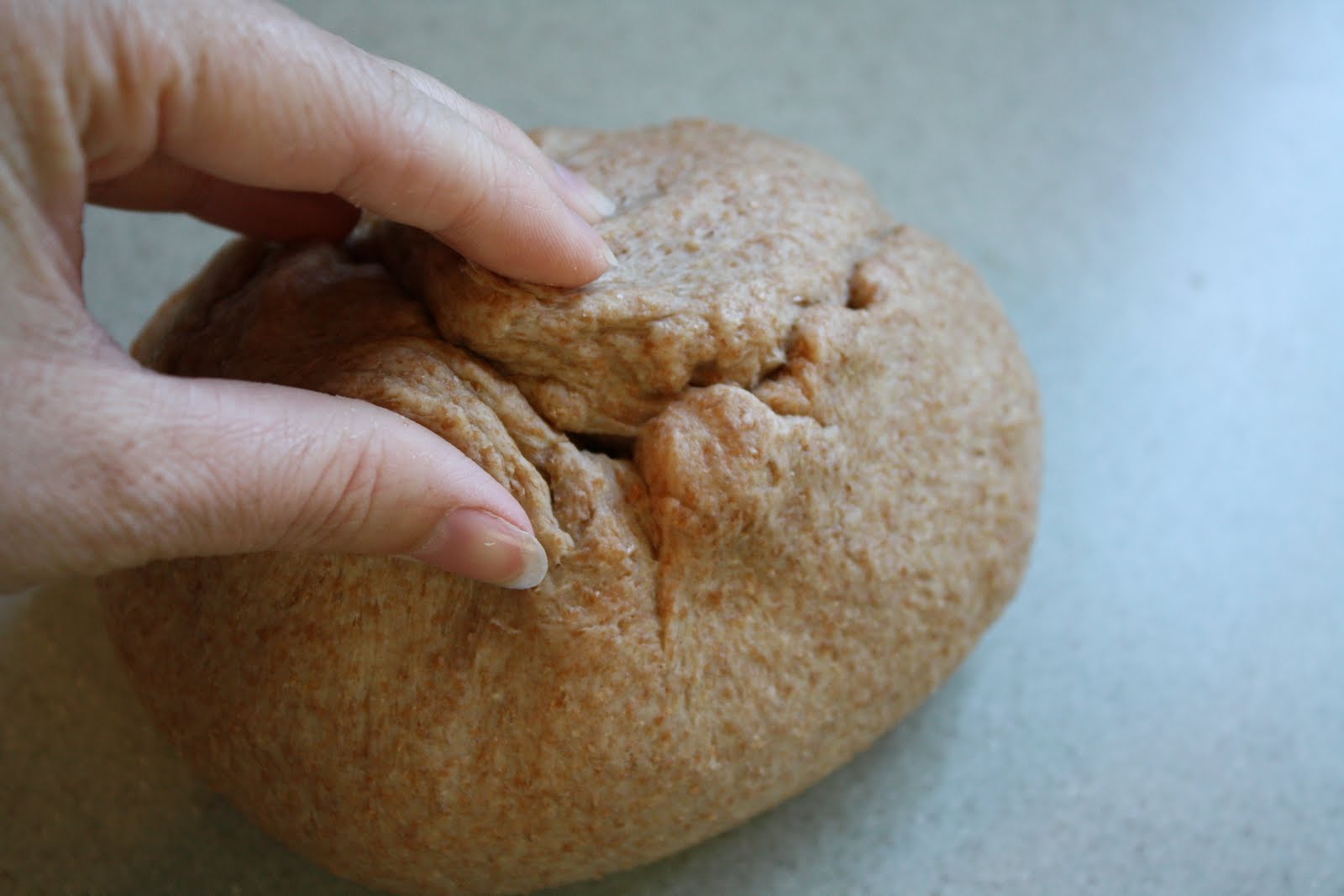 Recipes from Michelle's Kitchen Whole Wheat Bread Tutorial