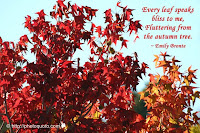 Autumn Quotes And Sayings4