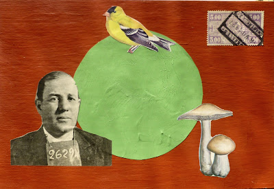 Buber vintage gangster mugshot photo flag finch goldfinch bird mushroom postage stamp Dada Fluxus collage