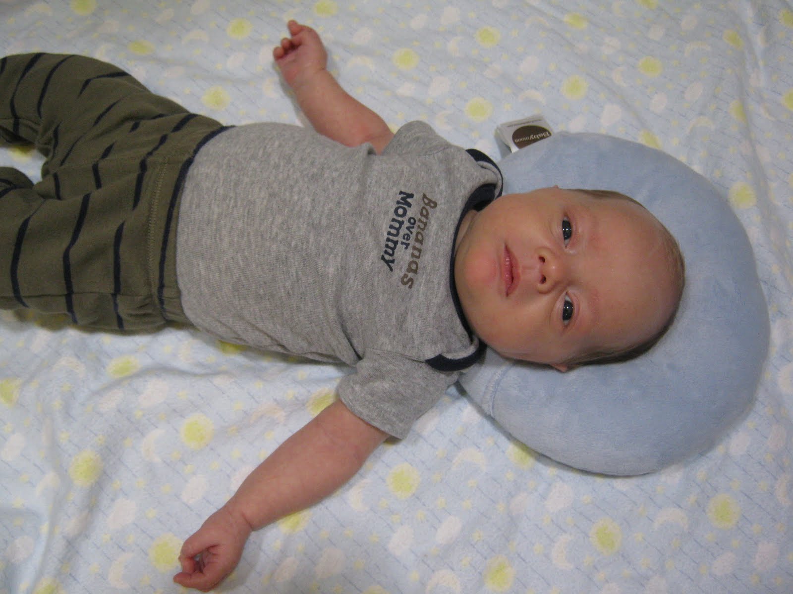 Au Natural Baby Baby Moon Pillow GiveAway and Review