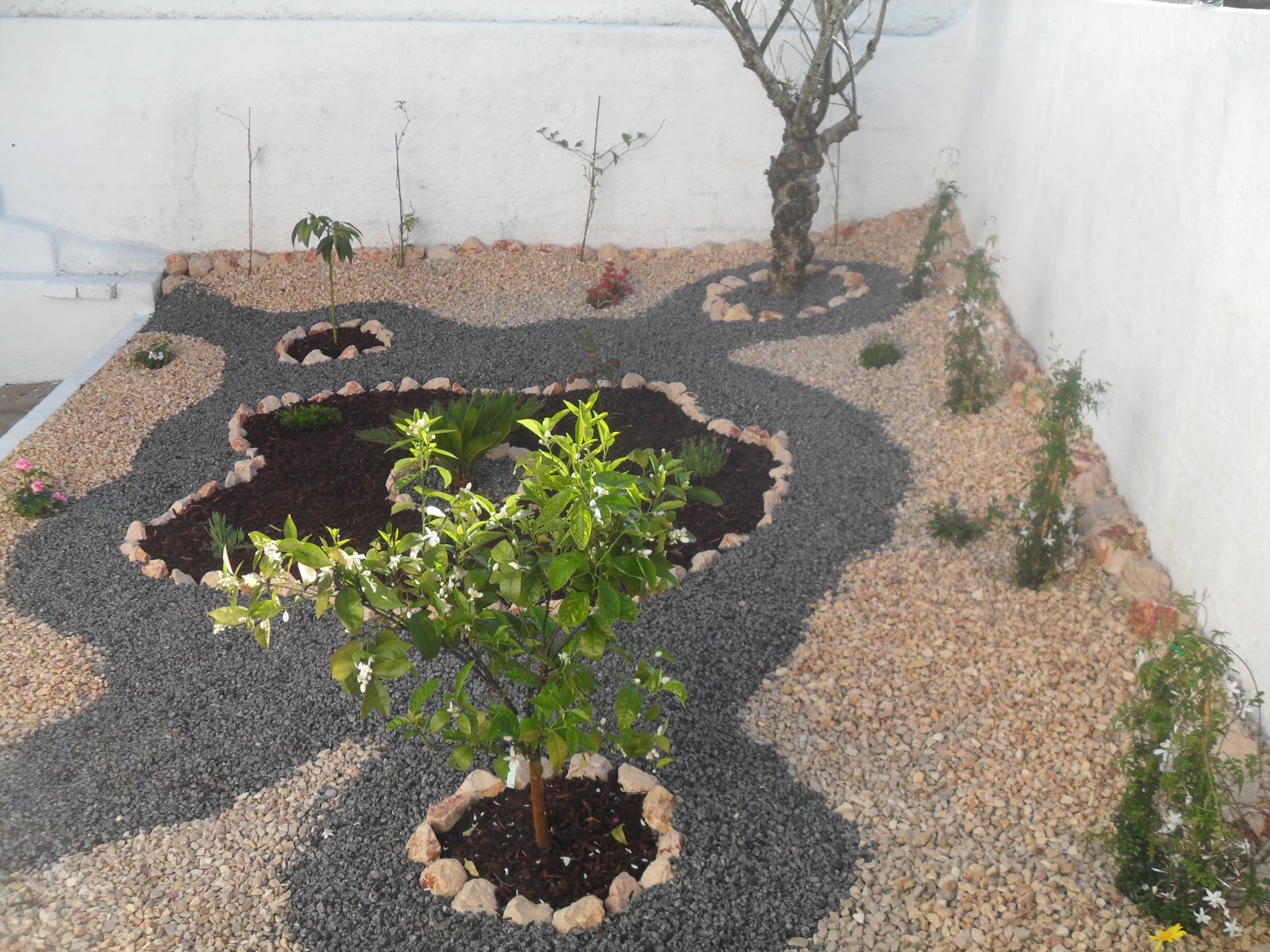 decoracao jardim pedras: : Construção do Jardim , Decoração com Pedras. Casa do Diplomata
decoracao jardim pedras: : Construção do Jardim , Decoração com Pedras. Casa do Diplomata