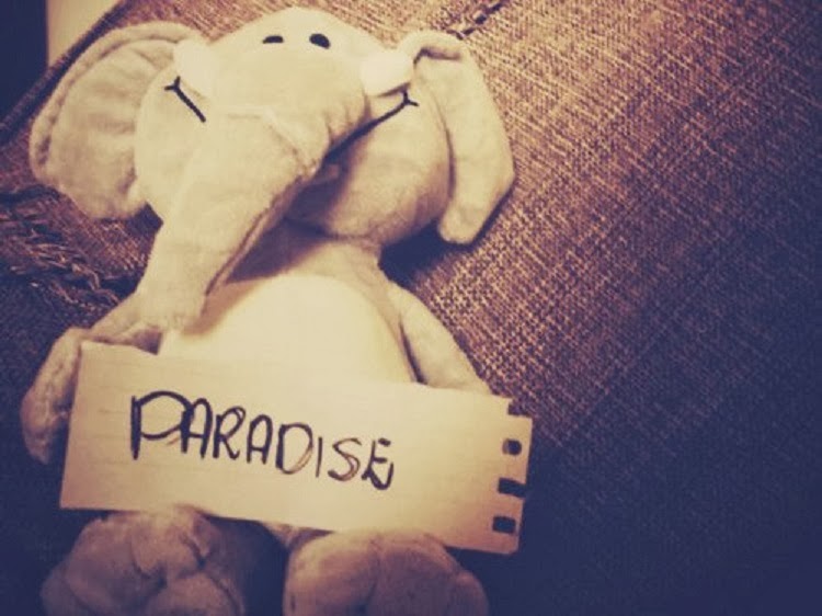 Dream of paradise