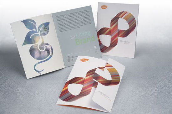 brochure design