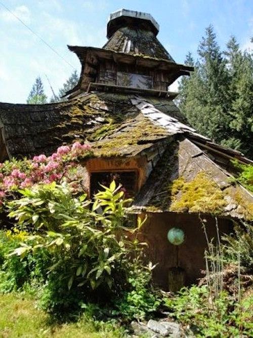 Introducing New Worlds With A Shrug Construction SunRay Kelley