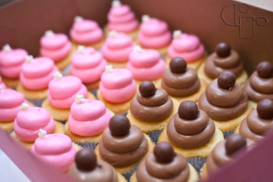 Cami Cakes Calories Cami Cakes Calories