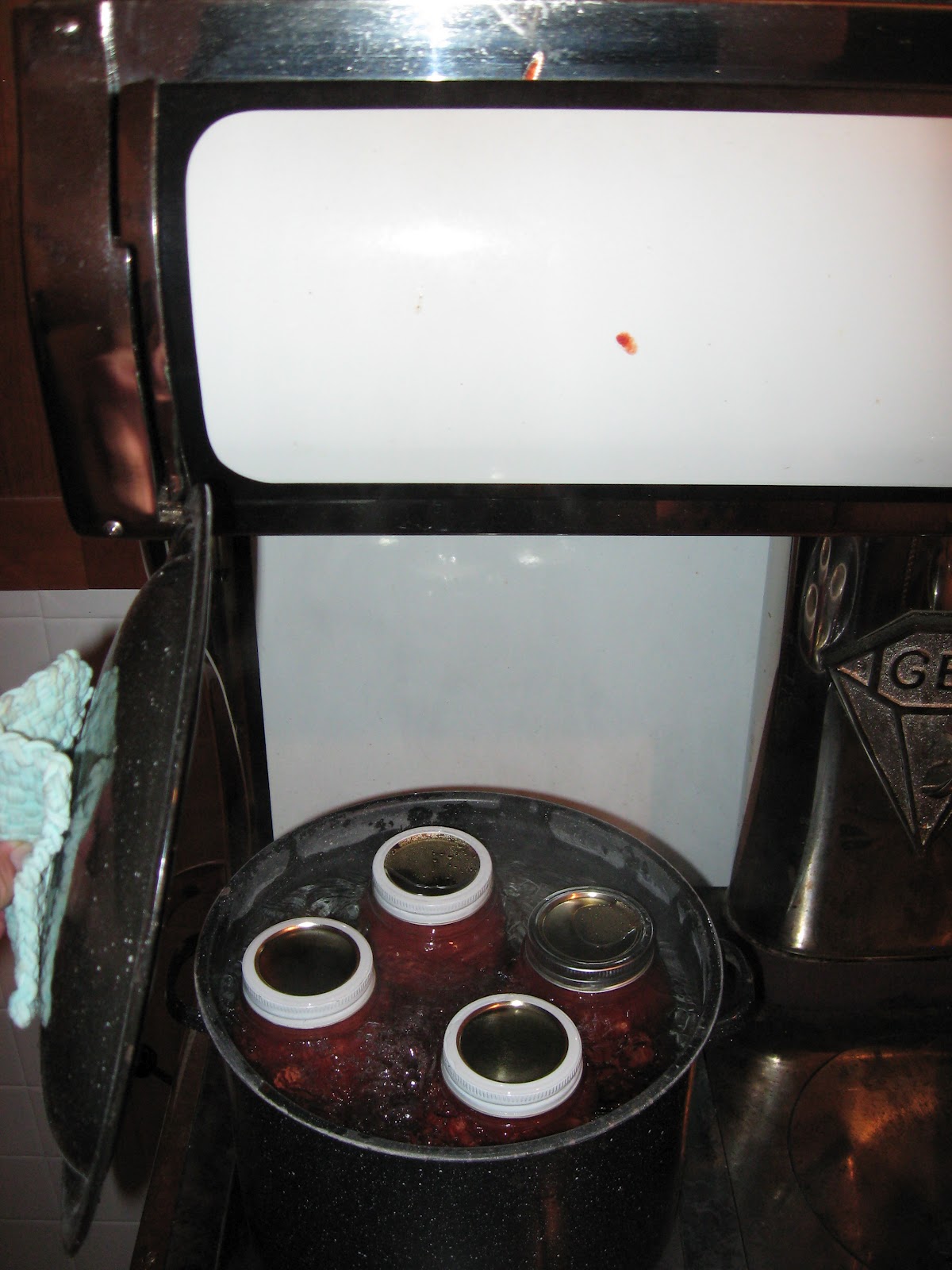 Wood Cookstove Cooking Homemade "Heinz" Ketchup