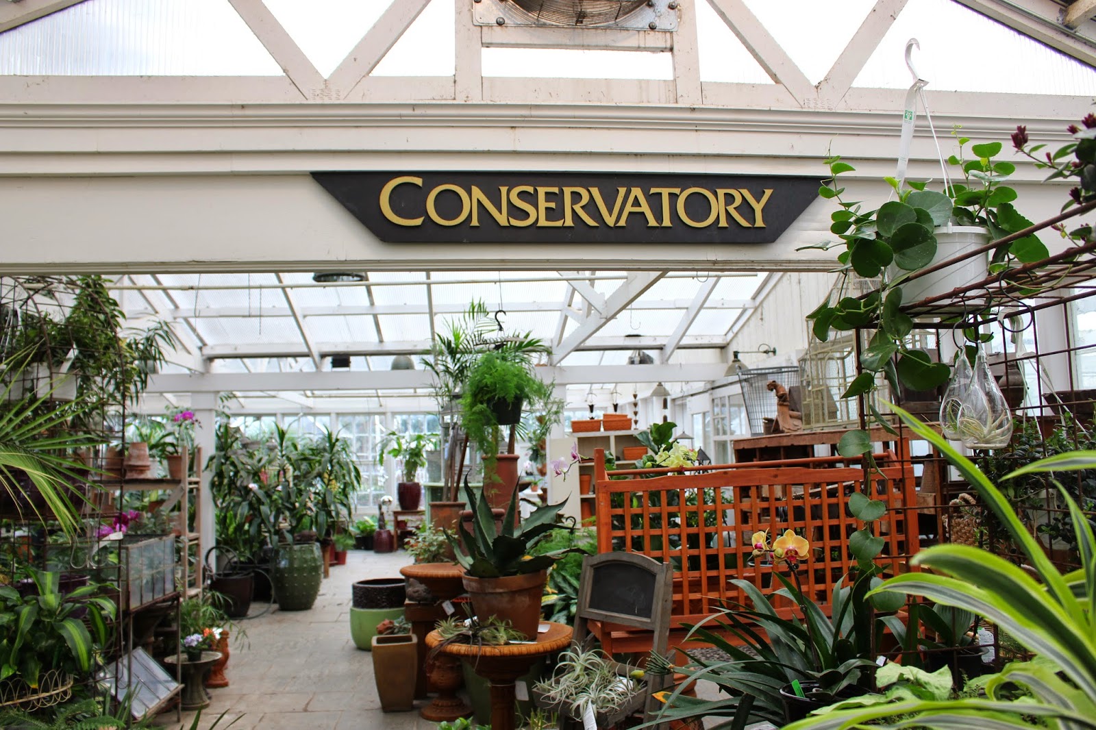 Rooted In Thyme Christianson's Nursery in Mt. Vernon, Washington and Simple & Sweet Fridays 157