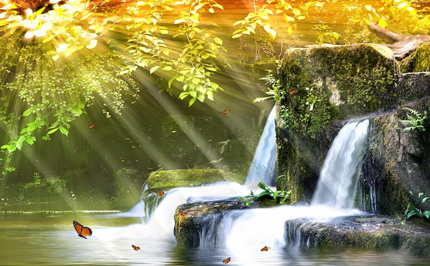 Animated Screensavers for Desktop and Laptop PC s
