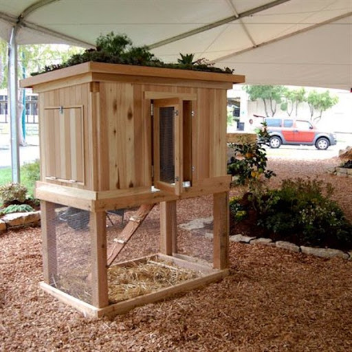 contoh gambar model rumah kandang ayam desain unik minimalis modern dari kayu terbaru 2015/2016 contoh gambar model rumah kandang ayam desain unik minimalis modern dari kayu terbaru 2015/2016