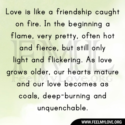 Love is like a friendship caught on fire