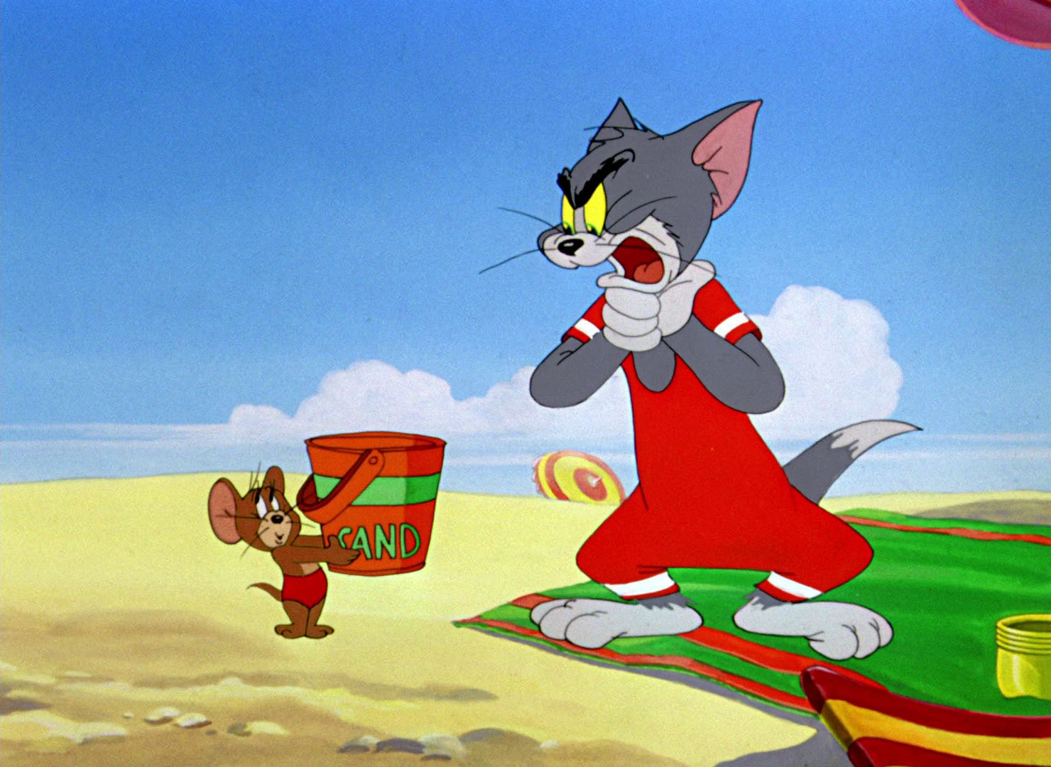 Tom Amp Jerry Pictures Quot Salt Water Tabby Quot