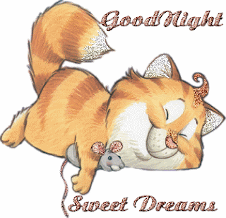 Good night sms hindi for friend 140 Good night sms hindi for friend 140
