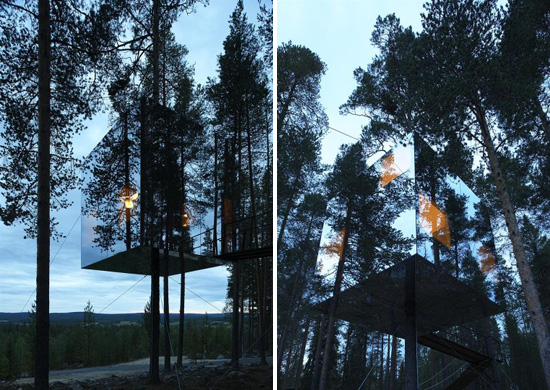 Arquitectura orgánica