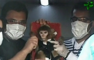 Macaco iraniano retorna do espaço- Interrogações