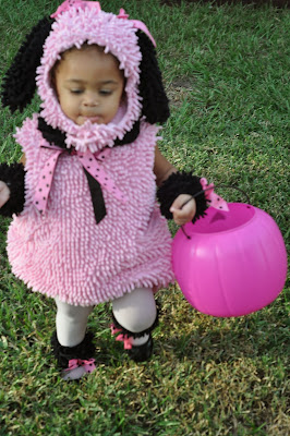 http://www.amazon.com/Princess-Paradise-Poodle-Toddler-Costume/dp/B005OTI4S2/ref=sr_1_1?ie=UTF8&qid=1383350641&sr=8-1&keywords=pink+poodle+costume