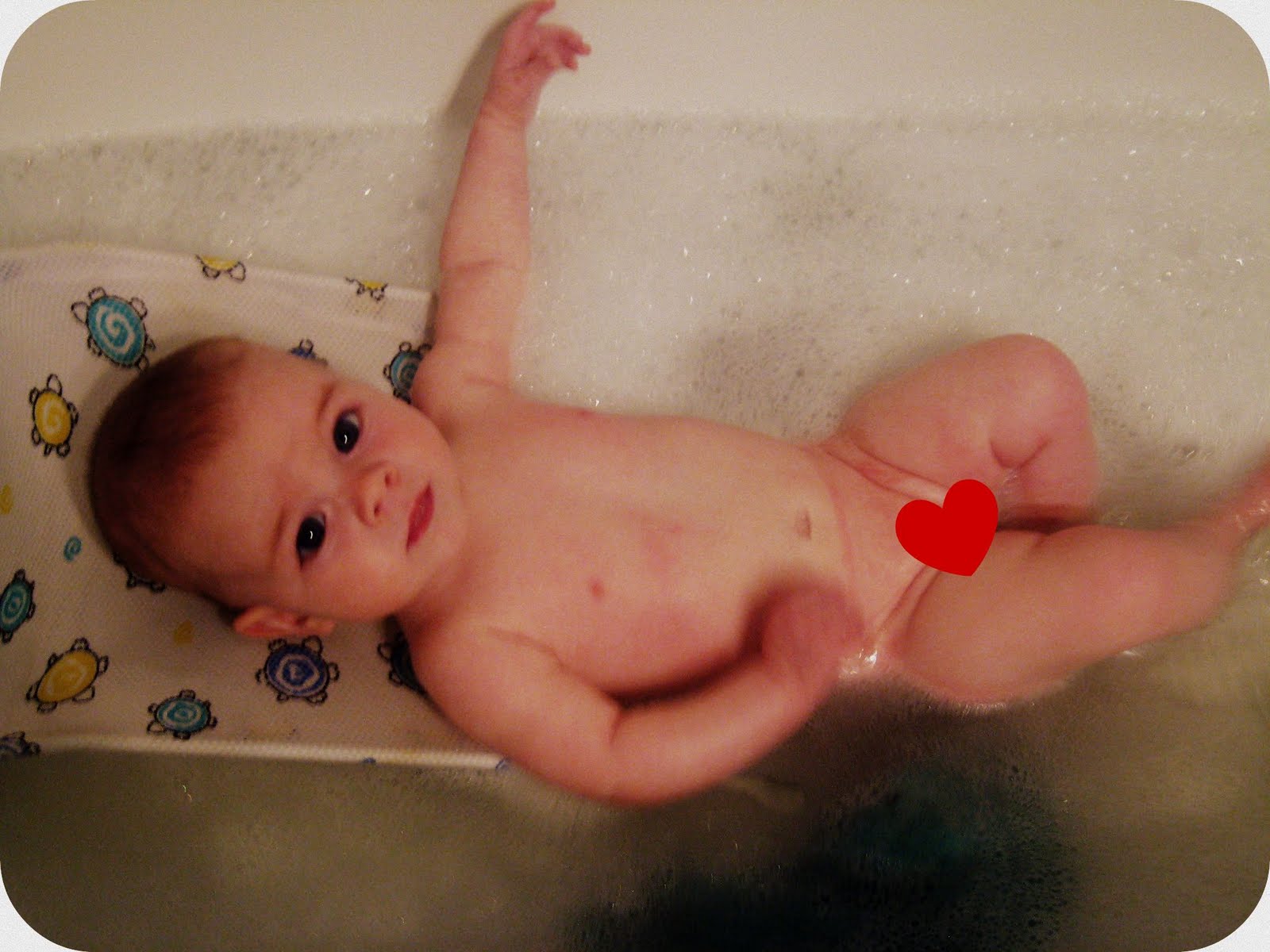 Fatty In Bath