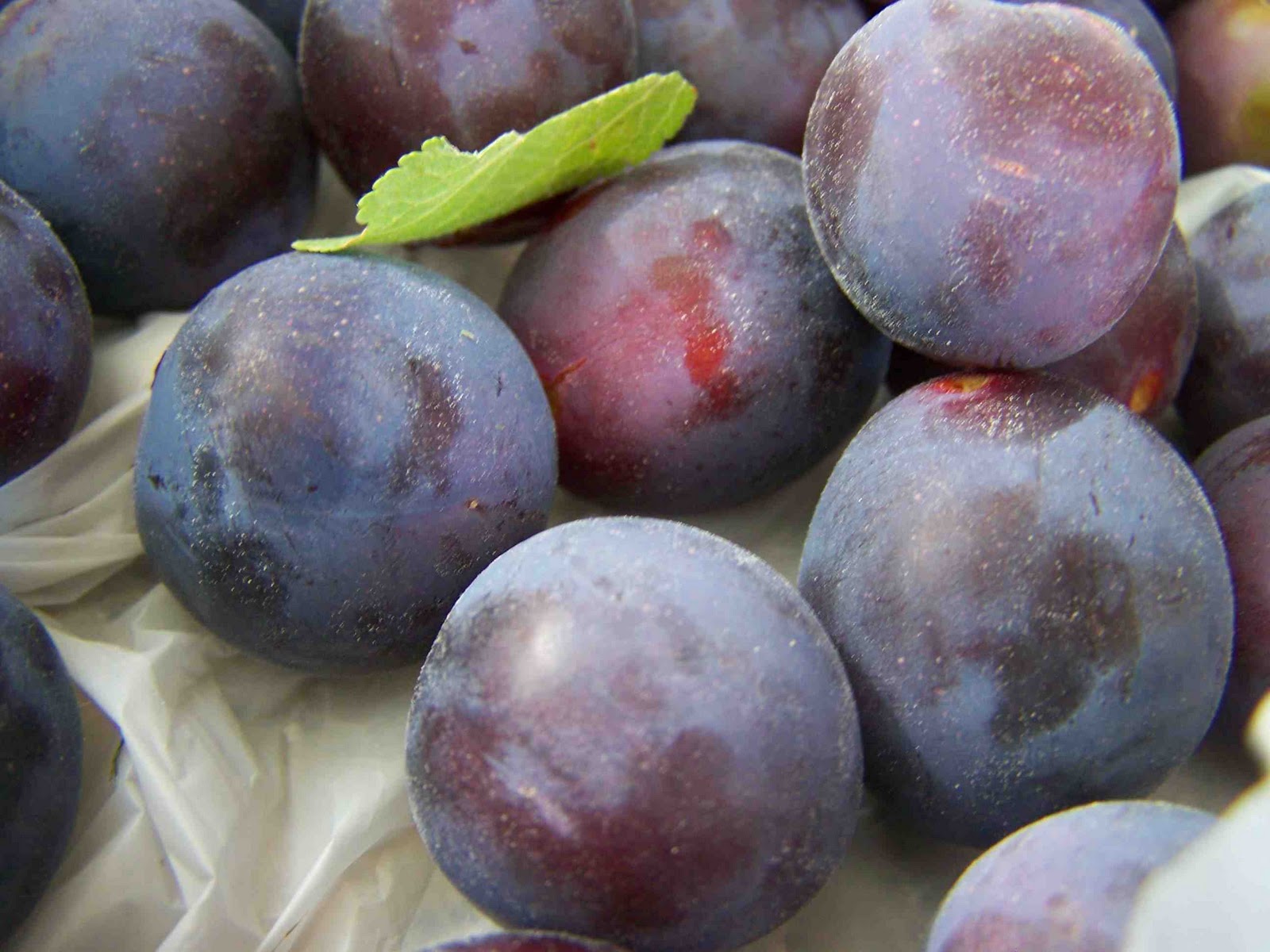 Made by Me. Shared with you. Harvest...and Plum Apple Jello Fruit Leather