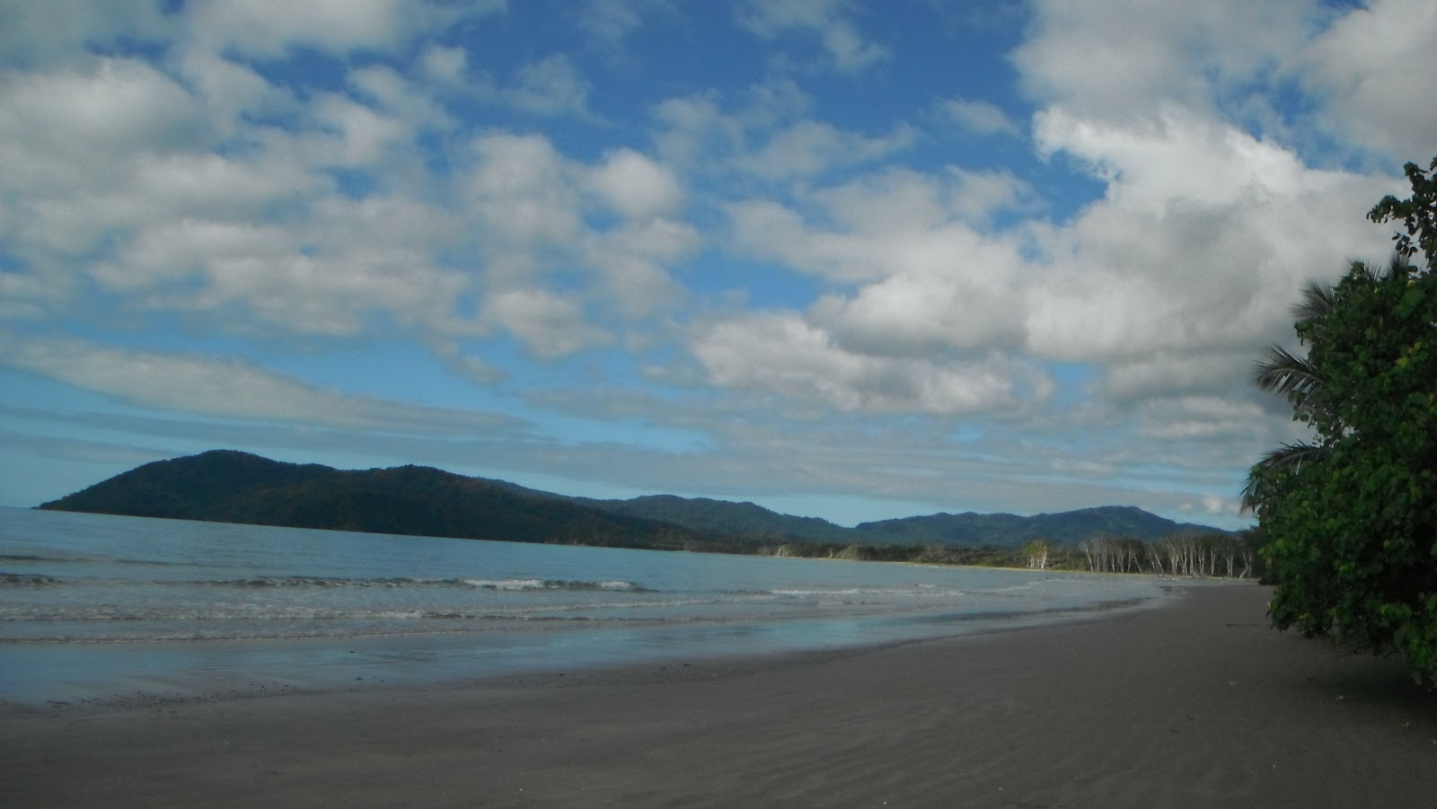 Daintree+national+park+009.JPG