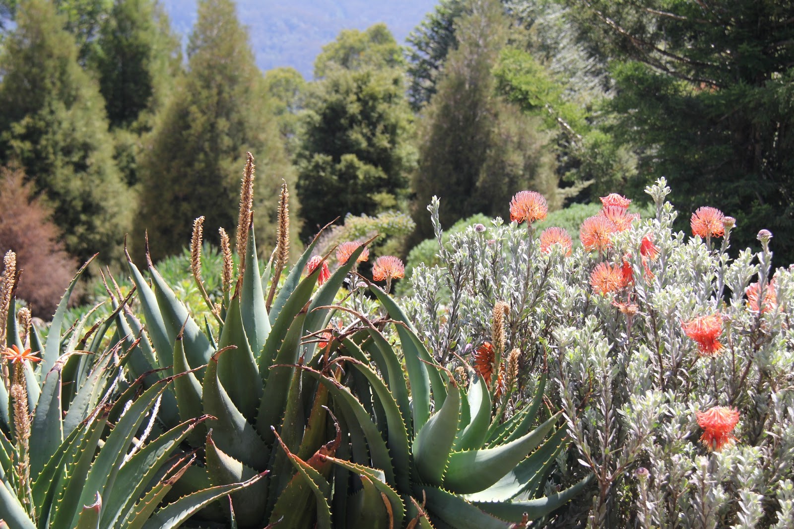 EATspeak Mount Tomah Botanical Gardens