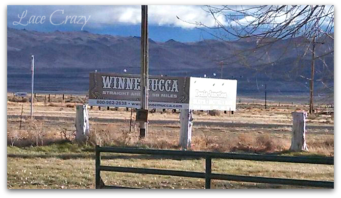 Lace Crazy Highway 101 Winnemucca To The Sea Highway