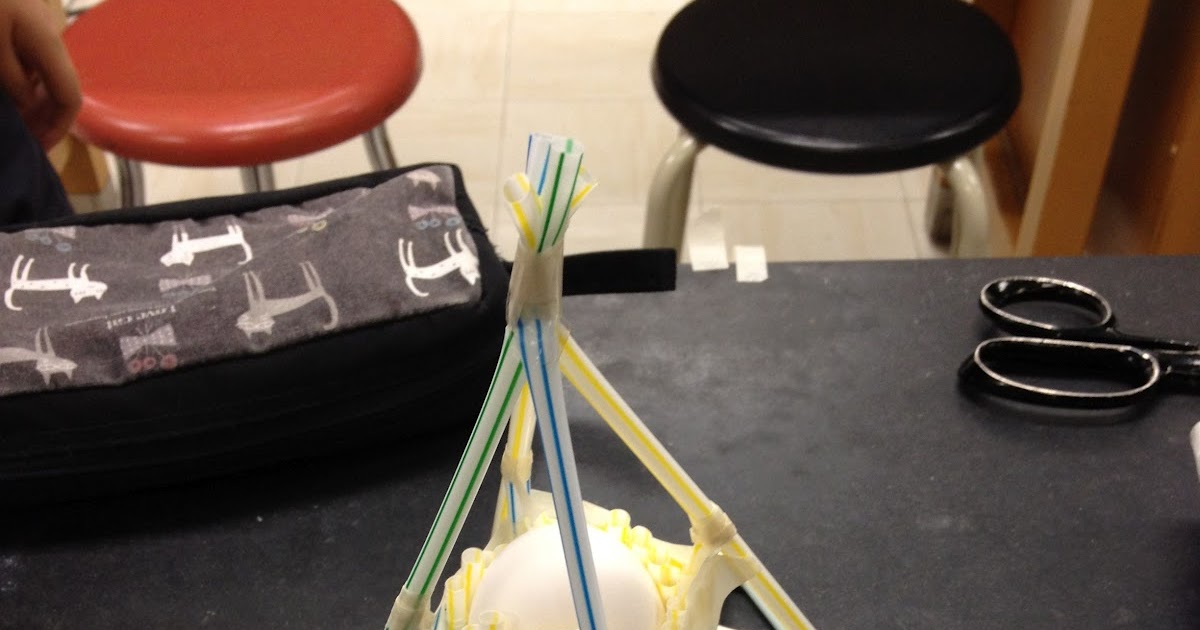 Earth and Space Egg Lander