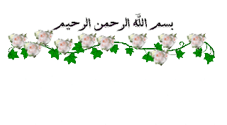 Fsl Hggi
