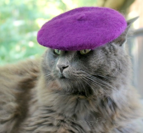 Cat In Beret