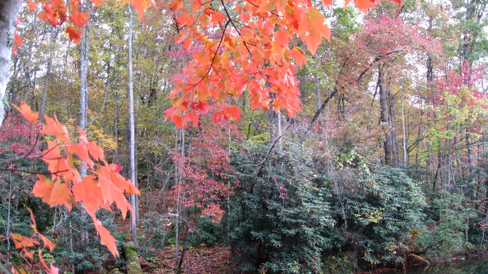 Lee County Virginia Stop 27 Keokee Lake