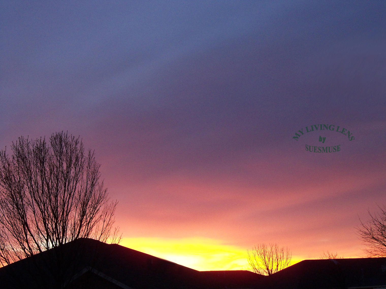 MY LIVING LENS: A BEAUTIFUL MORNING MY LIVING LENS: A BEAUTIFUL MORNING
