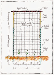 Click The Trellis Drawing...